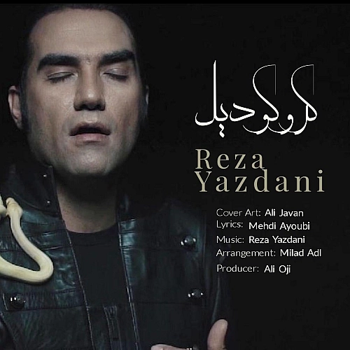 Corocodile Reza Yazdani